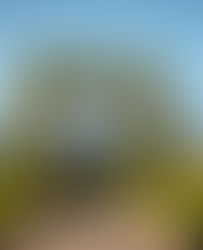 Decoração de Casamento em Amarelo, Azul e Limão Siciliano por Carla Vidal