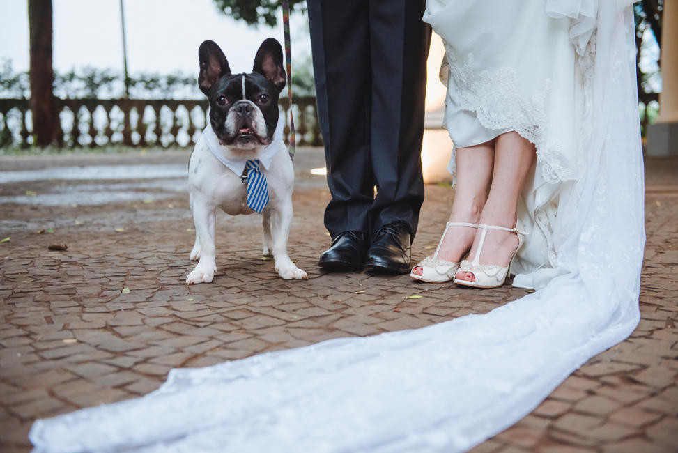 Animais de Estimacao no Casamento | Assessoria de Eventos | Noiva | RSVP | Casamento