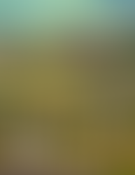 Lua de Mel na Itália