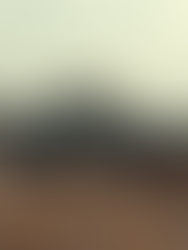 Deutschland setzt auf moderne Ausrüstung und Rekrutierung für die Bundeswehr