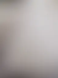 The Best Wedding Dress Trends from New York Bridal Fashion Week Spring 2027