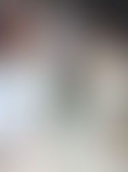 Oscar de la Renta Pre-Fall 2026 Runway Show: Timeless Romance Meets Modern Glamour