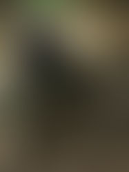 Godzilla x Kong: Supernova – The Explosive Next Chapter in the MonsterVerse