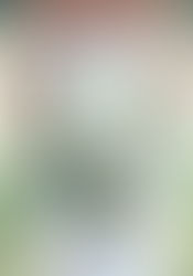 Elegant White Bridal Bouquets: Timeless Floral Arrangements for Your Wedding