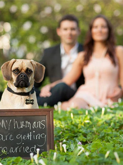 Quando enviar o Save the Date ou Convite de Casamento Virtual