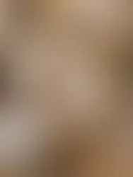 Michelin Stars & Restaurants : l’excellence gastronomique au cœur de la cuisine mondiale