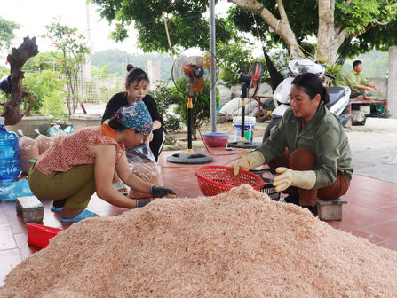 Ngọc Vừng mùa "lộc biển"