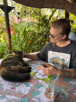 Cats included