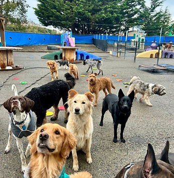 Untitled design (2)_edited_edited.jpg