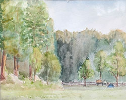 Labor Day Campground 2