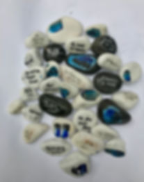 image1 (1).jpeg