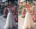 Miniature : Blooming Flowers