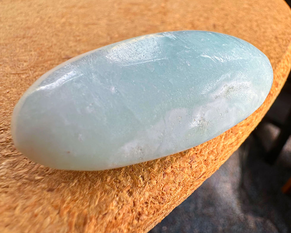Thumbnail: Caribbean Calcite Palm Stone