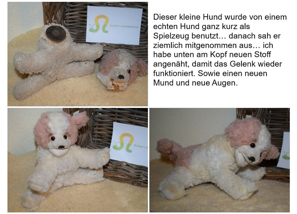 Kuscheltierreparatur von einem kleinen Hund, der ein grosser Hund mal kurz als Spielzeug benutzt hatte... Ich habe den Kopf wieder angenäht (dass das Gelenk aber noch funktioniert) und eine neue Schnauze sowie neue Augen montiert. Ach so: baden durfte er auch noch