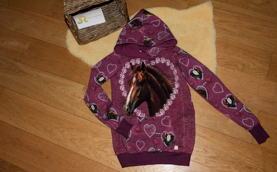 J'adore les chevaux ! Un pull à capuche avec une poche kangourou, s'il vous plaît !! 😂