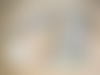 Pulli mit ABC-Tieren