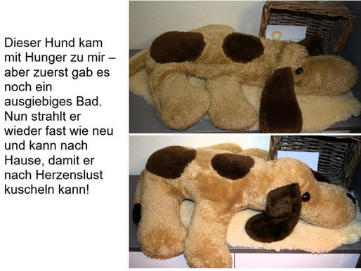 Jetzt sieht der nette Hund doch wieder wohlgenährt aus, oder? 