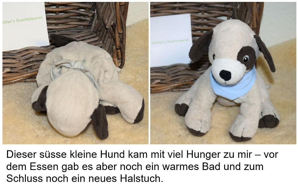 So ein süsser Kerl! Aber er hatte grossen Hunger - und baden wollte er auch noch. So kann er wieder mit neuem Halstuch zurück nach Hause!