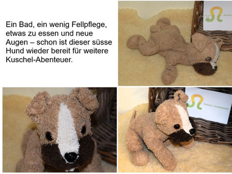 So ein süsser Hund, oder? Mit neuen Sicherheitsaugen von Heartdeco sieht er wieder was und kann ganz schnell wieder nach Hause um zu kuscheln.