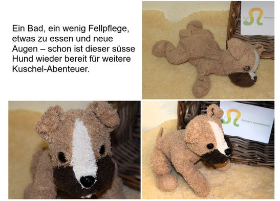 So ein süsser Hund, oder? Mit neuen Sicherheitsaugen von Heartdeco sieht er wieder was und kann ganz schnell wieder nach Hause um zu kuscheln.