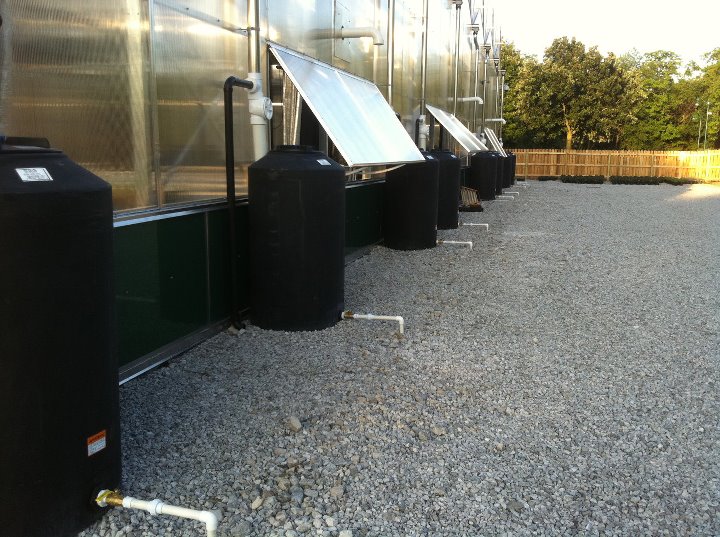 Multiple rain barrels