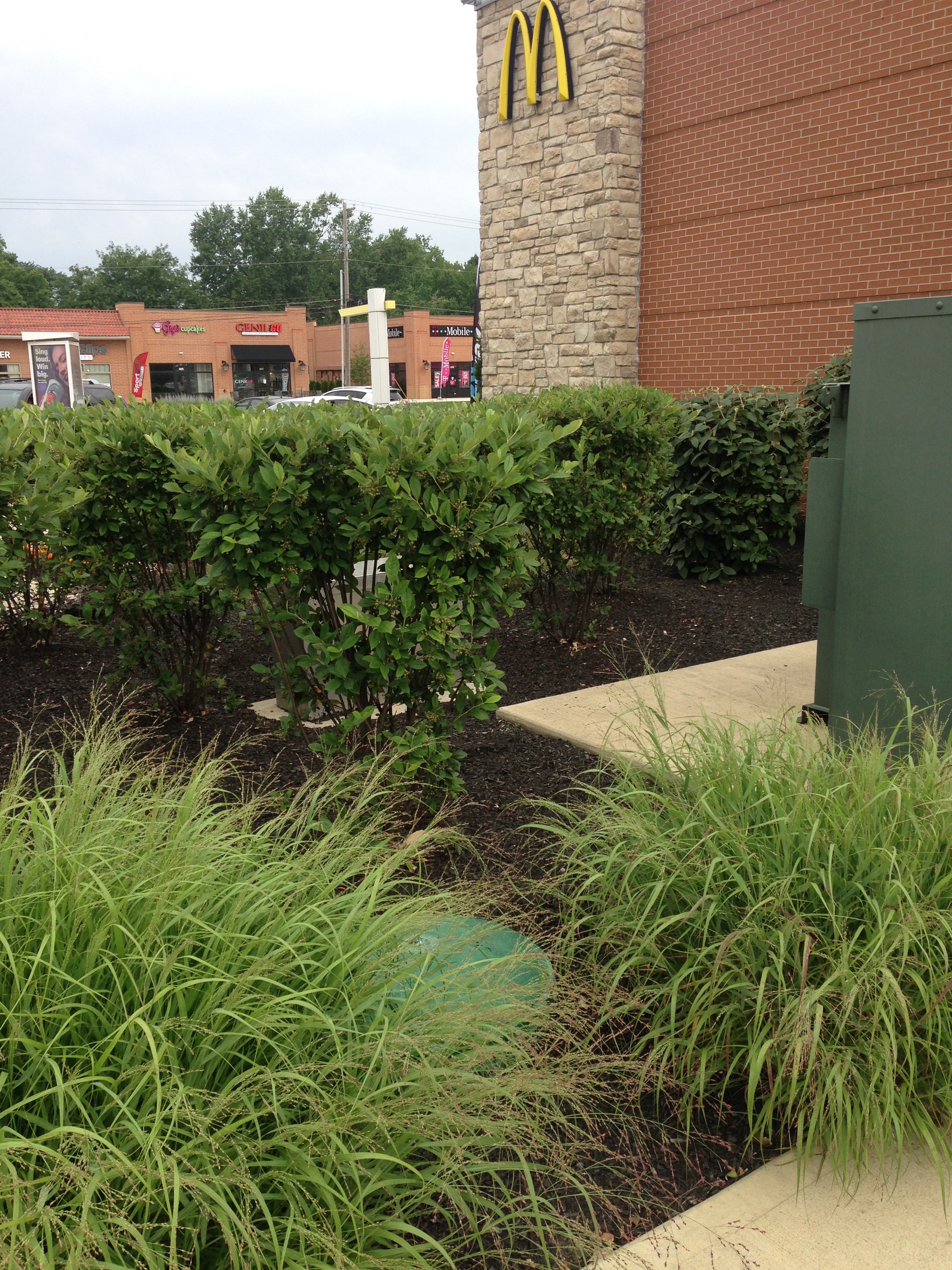 McDonald's Rain Harvest System