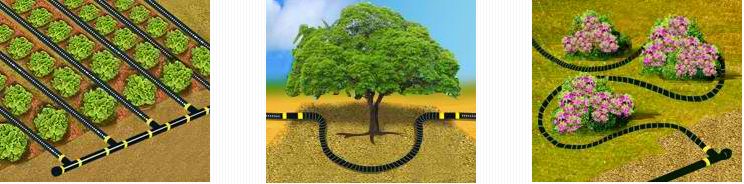 Rain barrel drip irrigation