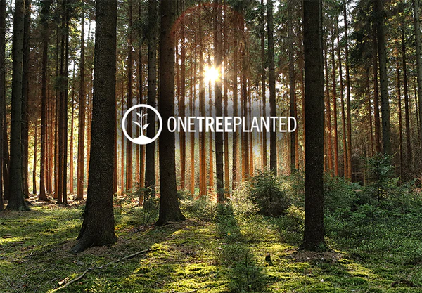 onetreeplanted2_grande.webp