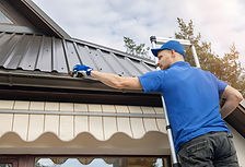Gutter Cleaning services