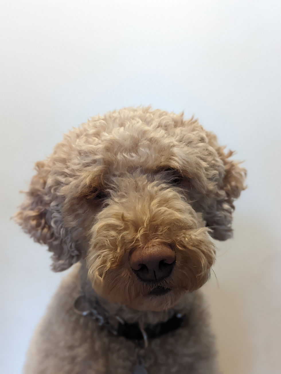 PXL_20230208_230431394.PORTRAIT