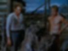 Van Heflin and shirtless Alan Ledd remove a tree stump in the classic Hollywood George Stevens film Western movie "Shane"