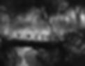 King Kong 1933 famous tree scene crossing a cavern on a log