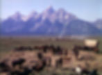 Homesteaders have a funeral in Jackson Hole Wyoming with the Grand Teton mountain range in the classic Hollywood George Stevens film Western movie "Shane"