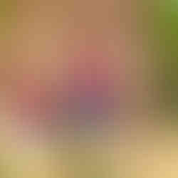 岩田直子家族写真サンプル