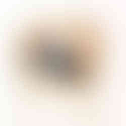 岩田直子家族写真サンプル