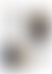 Les nouveautés ODEON Audio arrivent !