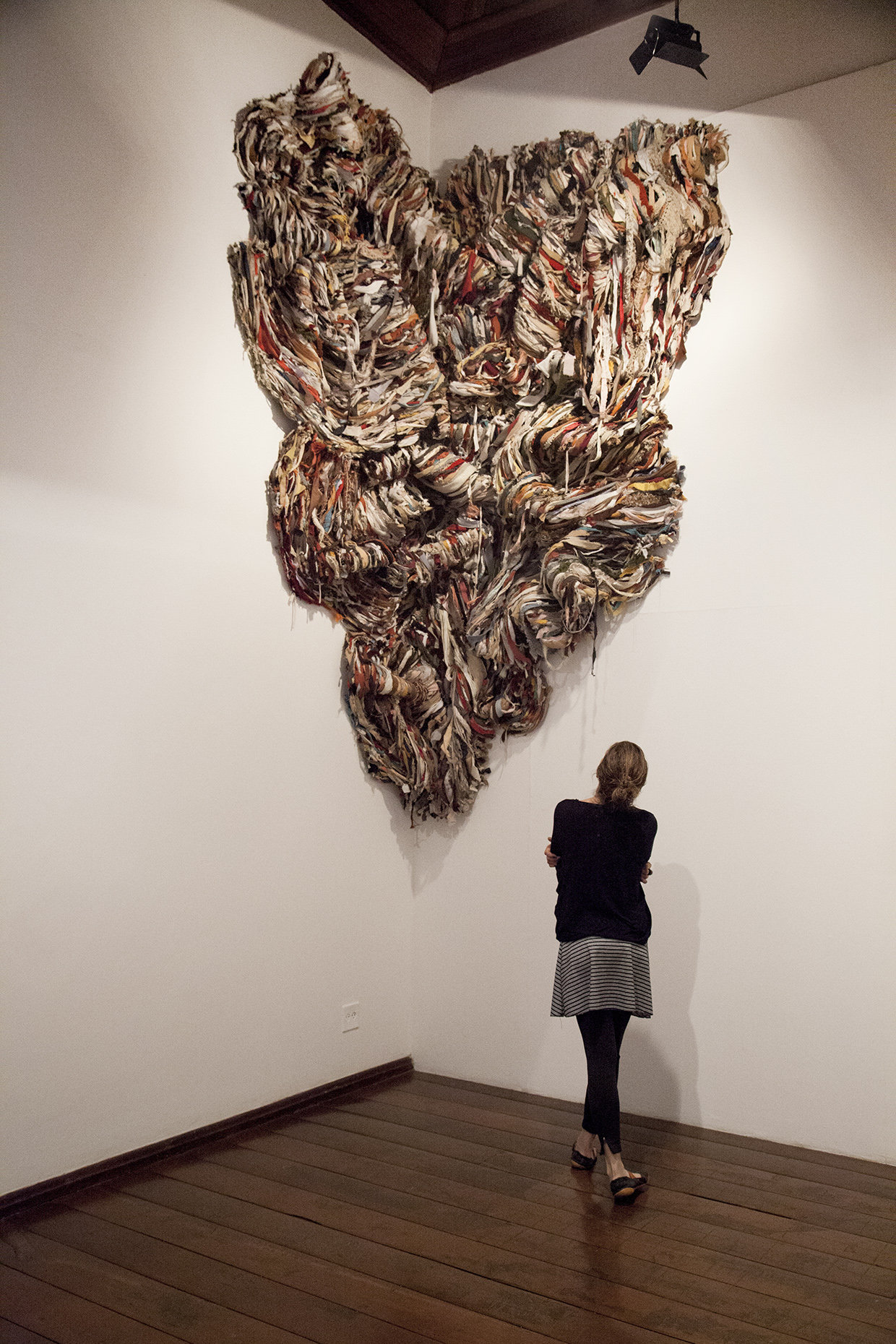 Górgonas, 2016