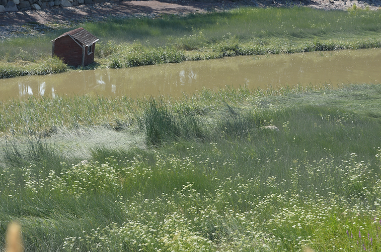 Est Nord Est, Affortunati