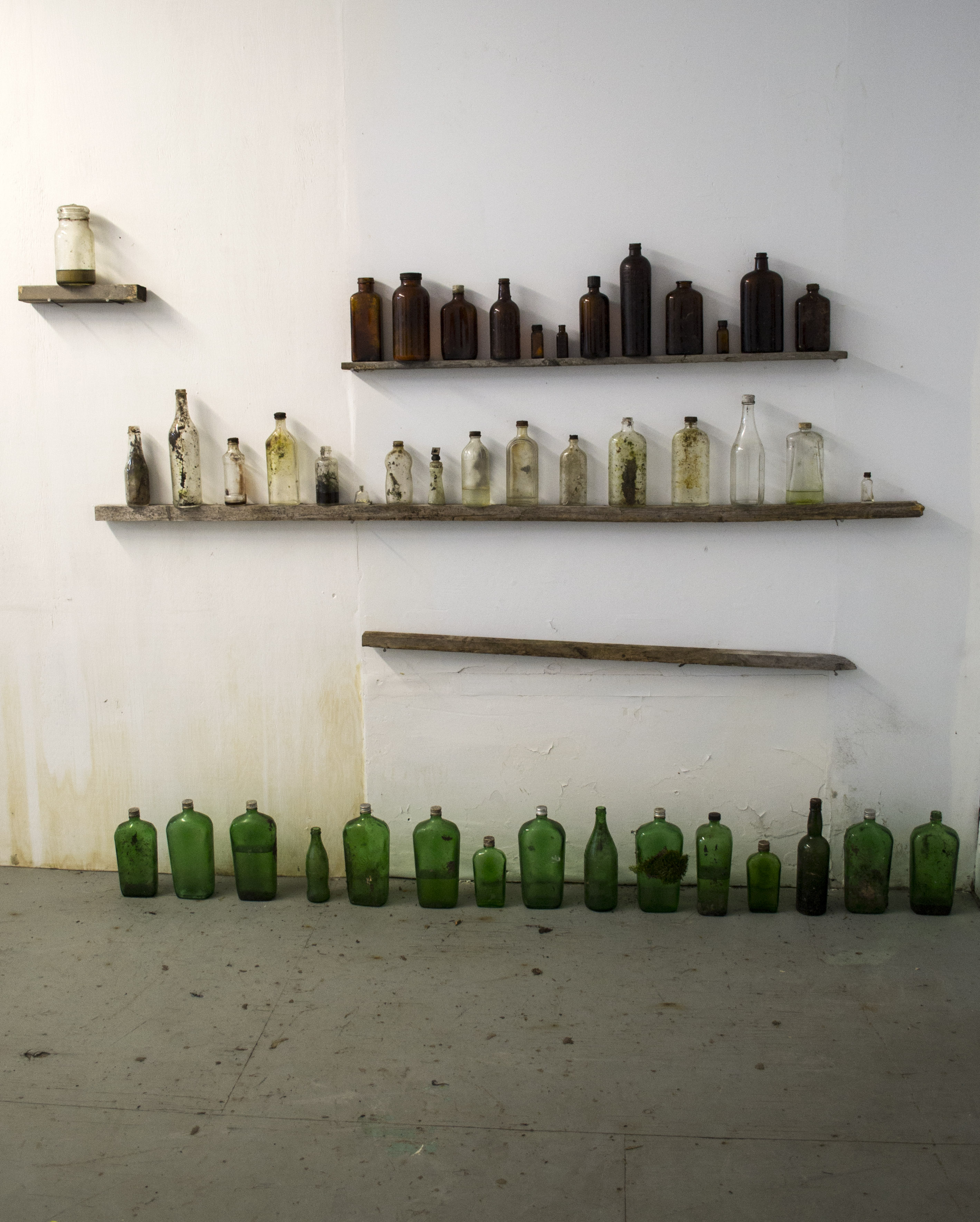 Laboratoire, 2017