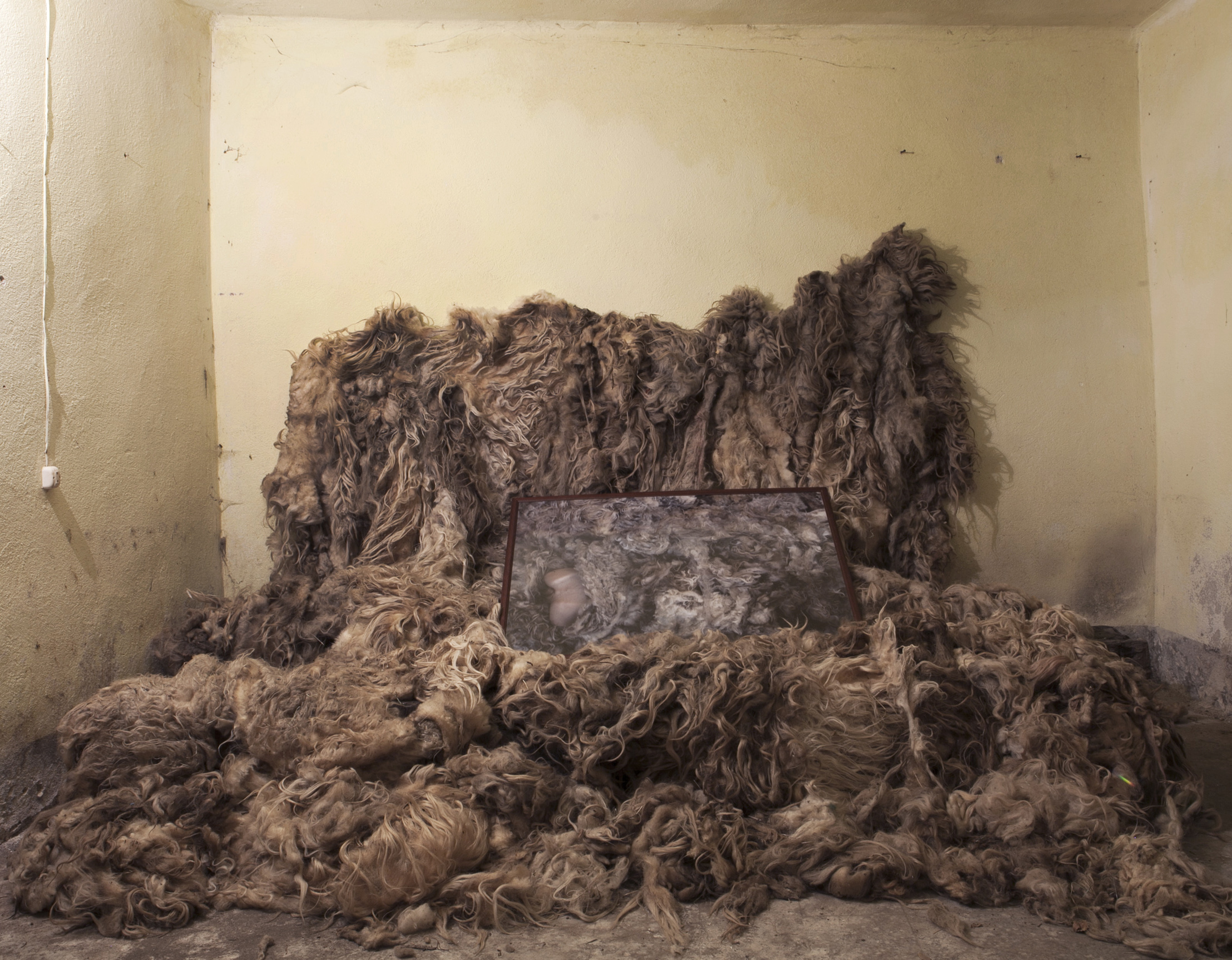 Testemunho, 2016