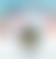 Ice Cold Murder: A Freshly Baked Cozy Mystery, book 5