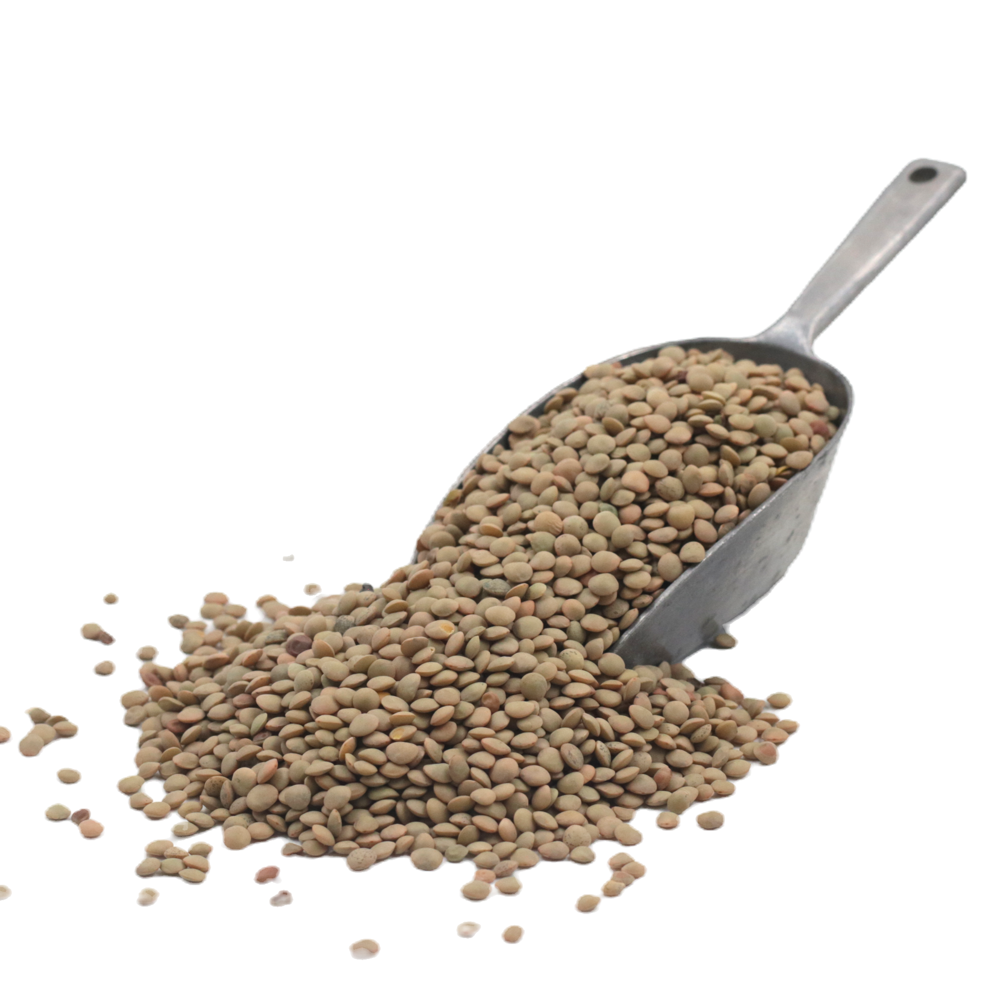 עדשים ירוק בלאדי-500 גרם