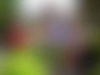 15% Pay Rise for Early Childhood Education Workers Linked to Fee Limit