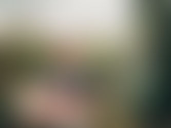 Aussie Canned Fruit Growers in Limbo Amid Global Competition