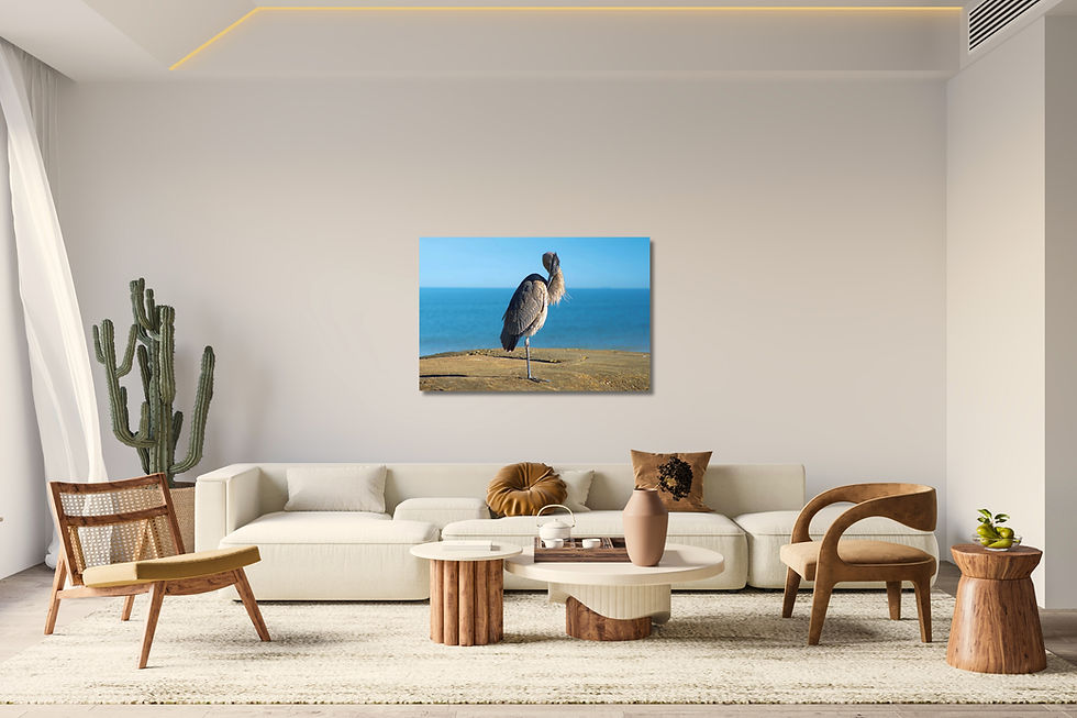 Thumbnail: Fine Art Great Blue Heron Digital Download Nature Photography