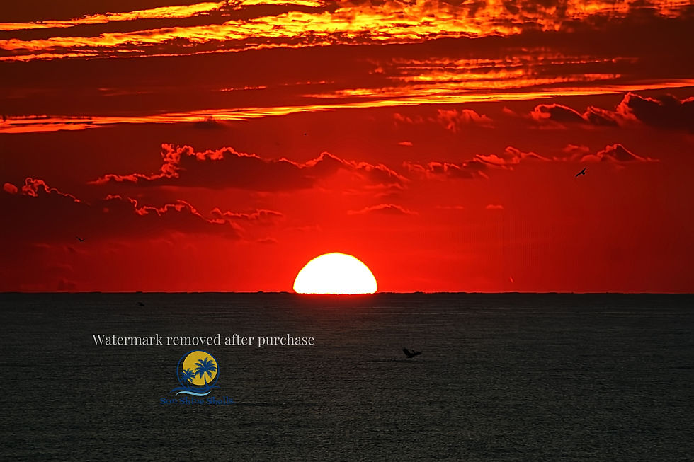 Serrated Horizon Exposed