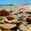 Thumbnail: Seashells On The Beach Pictures, Images and Instant Downloads