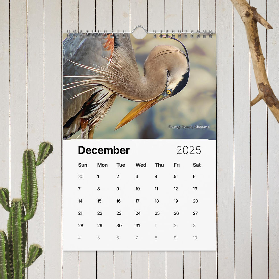 Thumbnail: 2025 Alabama Gulf Coast Scenic Wall calendar
