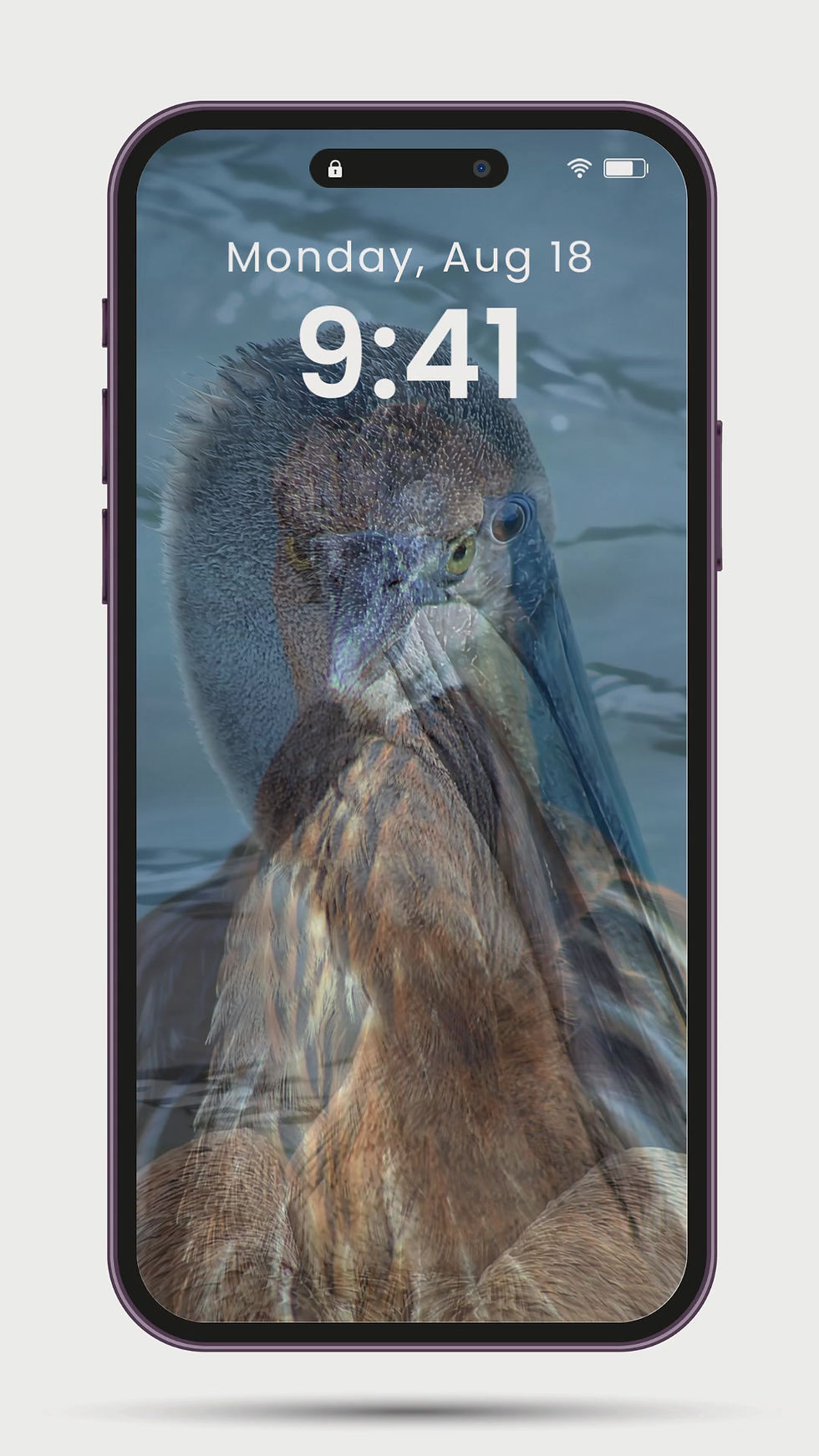 Thumbnail: Coastal Bird Photography Bundle | Mobile Wallpapers for IOS & Android Devices