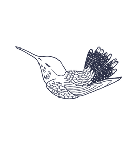 hummingbird centro cultural.png